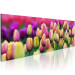 Canvas Rainbow-hued tulips 58484 additionalThumb 2