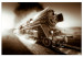 Canvas Train in the Whirlwind of Speed (1-part) - Vehicle in Sepia and Smoke 116394