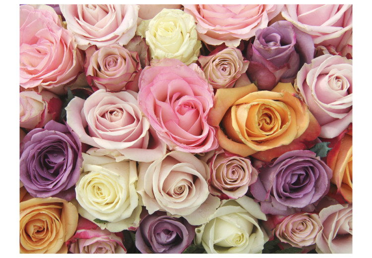 Wall Mural Pastel roses 60315 additionalImage 1