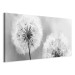Canvas Fluffy Dandelions (1 Part) Grey Wide 107225 additionalThumb 2