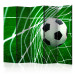 Room Divider Goool! II (5-piece) - soccer ball against a white net and turf 133325