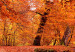 Large Canvas Autumn Park II [Large Format] 128535 additionalThumb 4