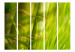 Room Divider Bamboo - nature zen II [Room Dividers] 132535 additionalThumb 3
