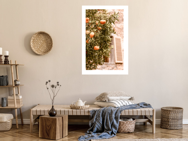 Poster Urban Greenery - Citrus Tree Against the Background of an Old Building 145235 additionalImage 13