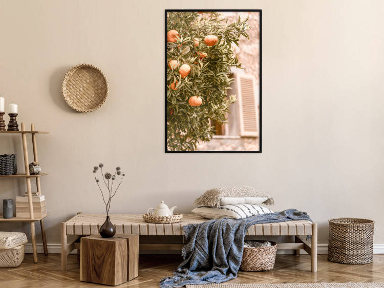 Poster Urban Greenery - Citrus Tree Against the Background of an Old Building 145235 additionalImage 10