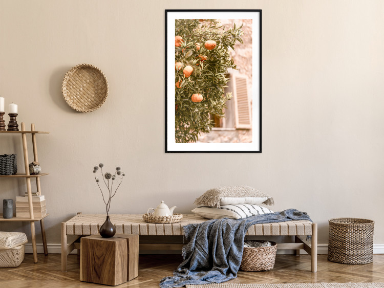 Poster Urban Greenery - Citrus Tree Against the Background of an Old Building 145235 additionalImage 14