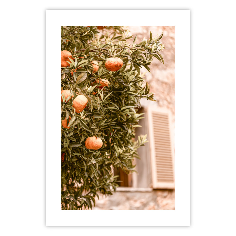 Poster Urban Greenery - Citrus Tree Against the Background of an Old Building 145235 additionalImage 17