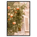 Poster Urban Greenery - Citrus Tree Against the Background of an Old Building 145235 additionalThumb 20