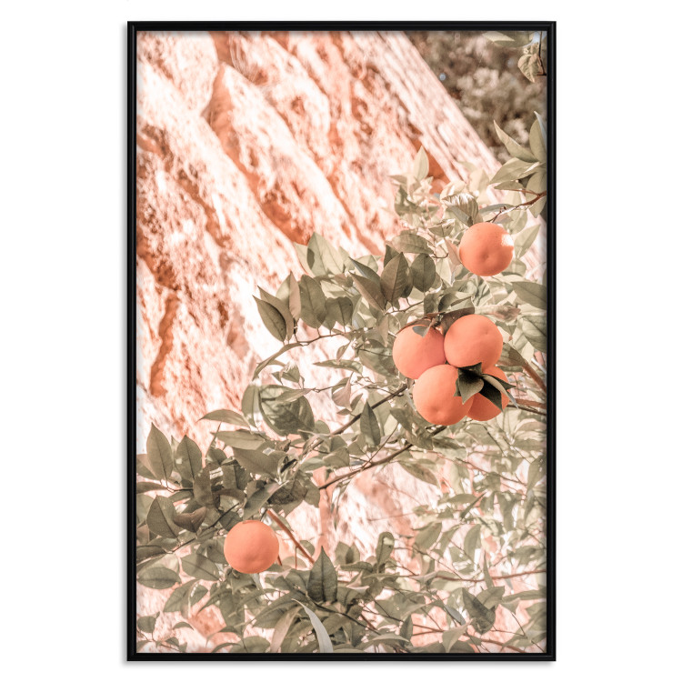 Poster Young Clementines - Branch of a Mandarin Tree With Fruits 145335 additionalImage 17