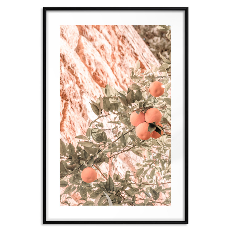 Poster Young Clementines - Branch of a Mandarin Tree With Fruits 145335 additionalImage 20