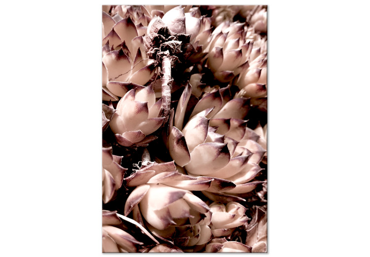 Canvas Romantic succulents - an artistic photo of a plant in pastels 122645