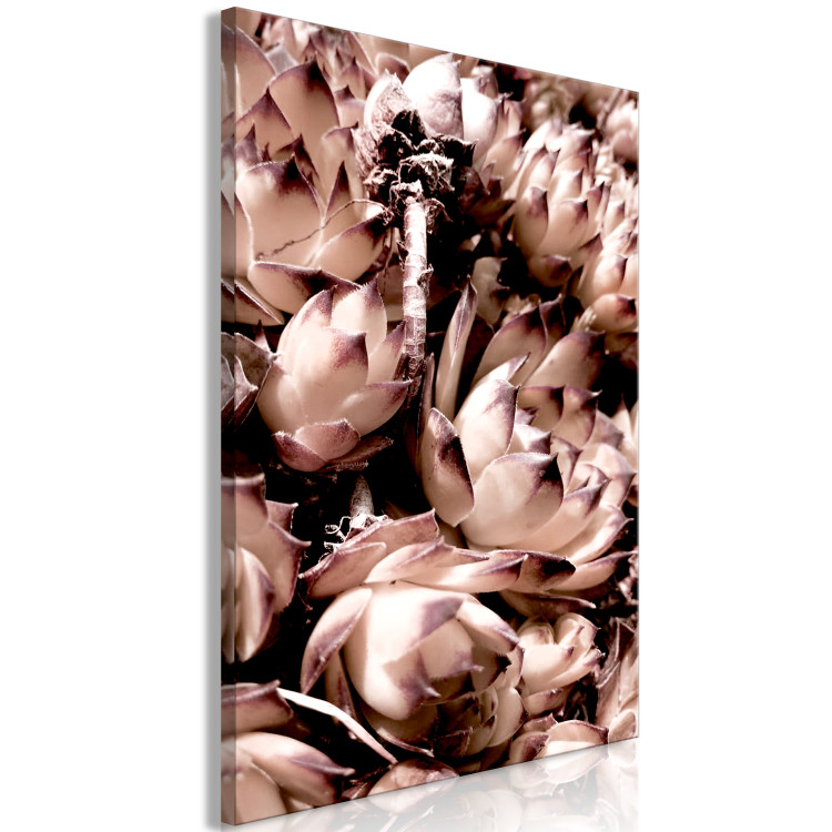 Canvas Romantic succulents - an artistic photo of a plant in pastels 122645 additionalImage 2