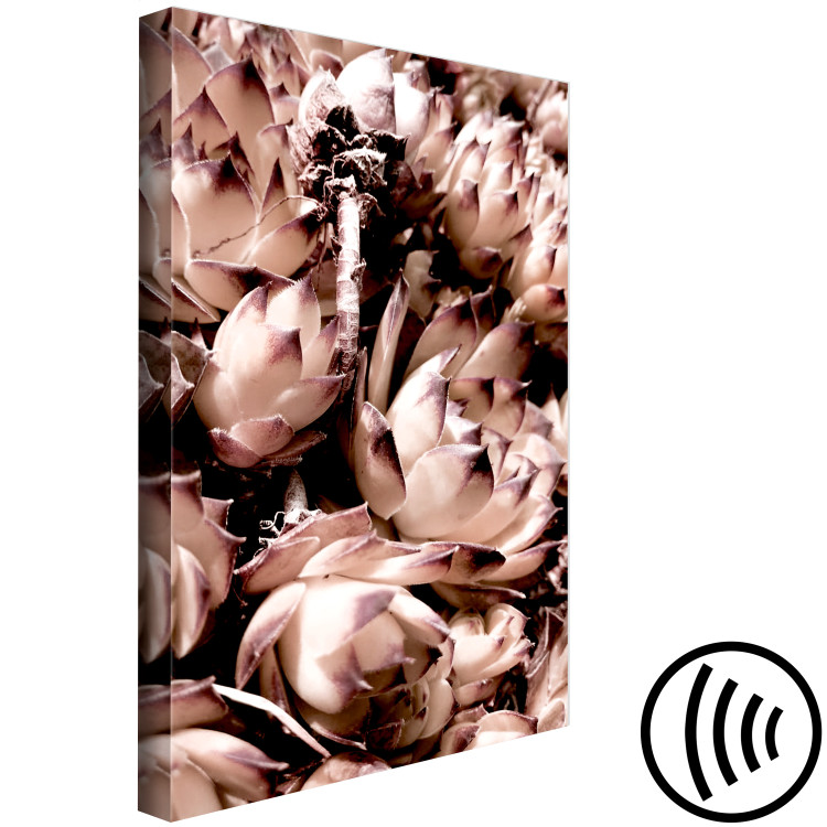 Canvas Romantic succulents - an artistic photo of a plant in pastels 122645 additionalImage 6