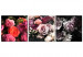 Canvas Bouquet of flowers - triptych with flowers in different shades 131745