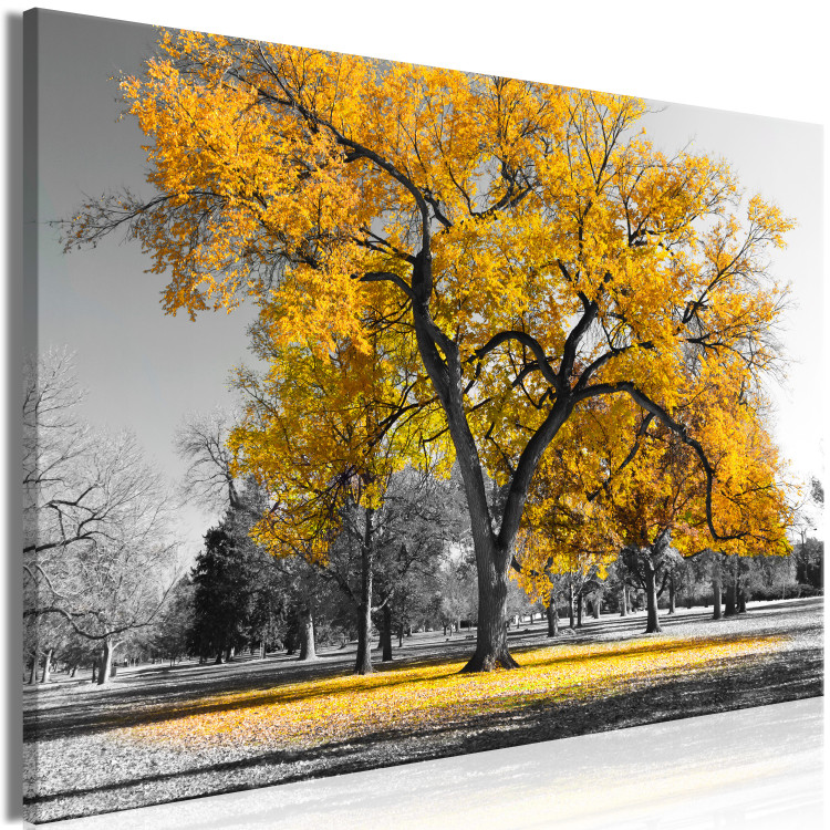 Canvas Autumn in the Park (1 Part) Wide Gold 122755 additionalImage 2
