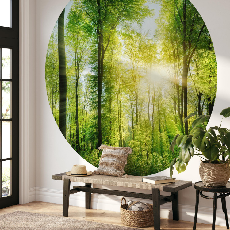 Round wallpaper Forest in the Sunshine - Lush Deciduous Trees in the Morning 149165 additionalImage 3