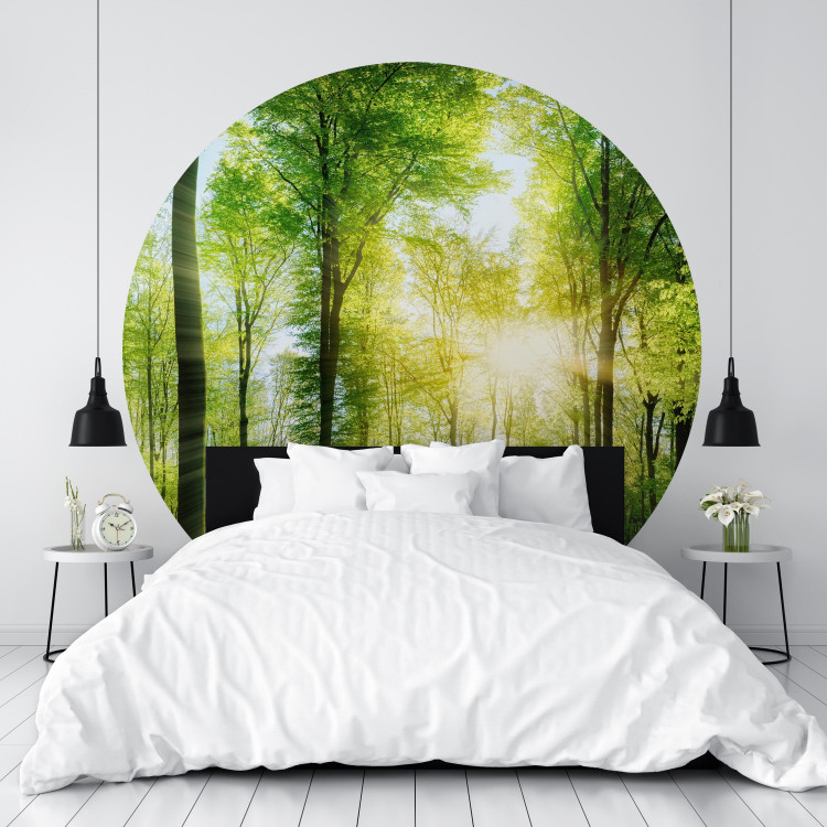 Round wallpaper Forest in the Sunshine - Lush Deciduous Trees in the Morning 149165