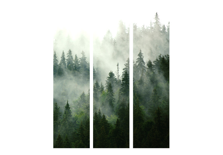 Room Divider Coniferous Forest [Room Dividers] 150965 additionalImage 3