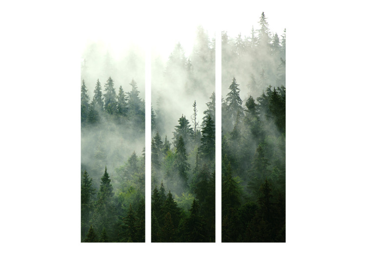 Room Divider Coniferous Forest [Room Dividers] 150965 additionalImage 7
