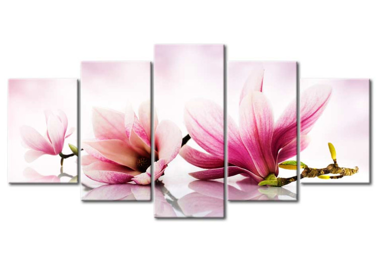 Canvas Magnolias: pink flowers 50065