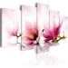 Canvas Magnolias: pink flowers 50065 additionalThumb 2