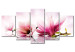 Canvas Magnolias: pink flowers 50065