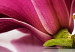 Canvas Magnolias: pink flowers 50065 additionalThumb 4