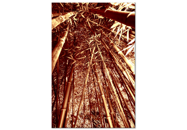 Canvas Bamboo forest in sepia - exotic nature photography with trees 123885