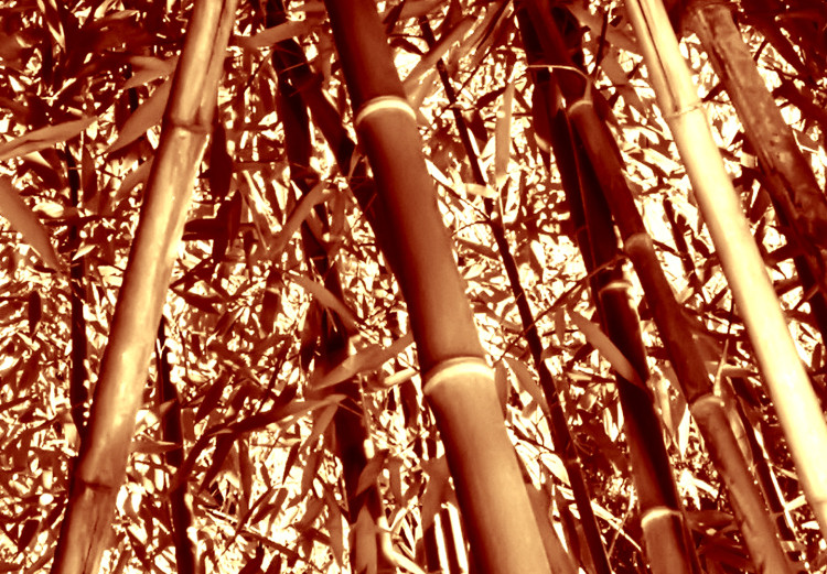 Canvas Bamboo forest in sepia - exotic nature photography with trees 123885 additionalImage 4