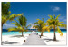 Large Canvas Paradise Maldives [Large Format] 128995