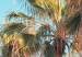 Poster The City of Miami - Palm Trees and the Florida Coast Architecture in Summer in Pastels 144495 additionalThumb 4