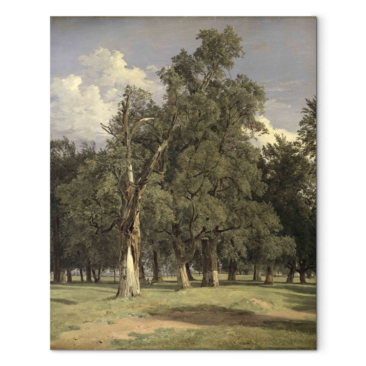 Canvas Elm trees in Prater 156906