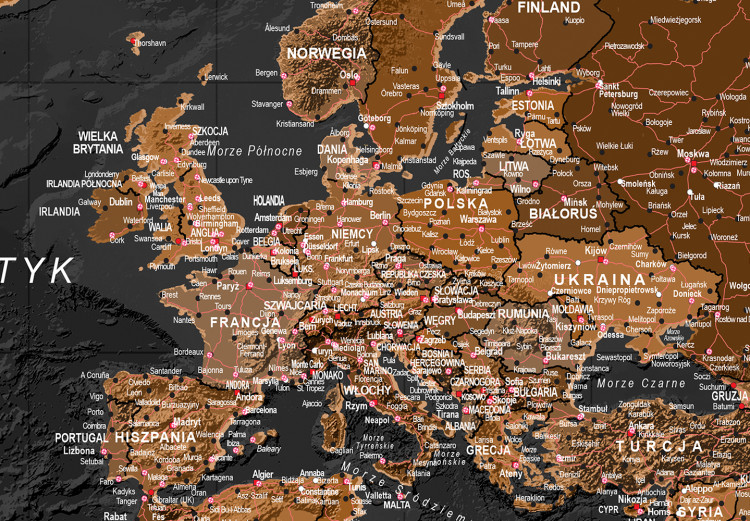 Decorative Pinboard Brown World Map [Cork Map - Polish Text] 106516 additionalImage 5