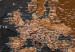 Decorative Pinboard Brown World Map [Cork Map - Polish Text] 106516 additionalThumb 5