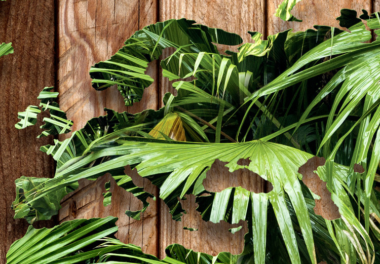 Wall Mural Jungle of the World 125116 additionalImage 4