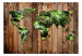 Wall Mural Jungle of the World 125116 additionalThumb 1