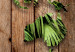 Wall Mural Jungle of the World 125116 additionalThumb 3