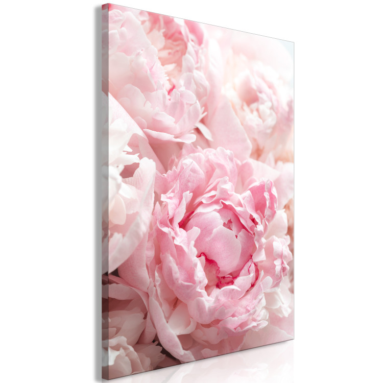 Canvas Blossoming Colors of Nature (1-part) - Peony Flower in Shades of Pink 118326 additionalImage 2