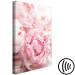 Canvas Blossoming Colors of Nature (1-part) - Peony Flower in Shades of Pink 118326 additionalThumb 6