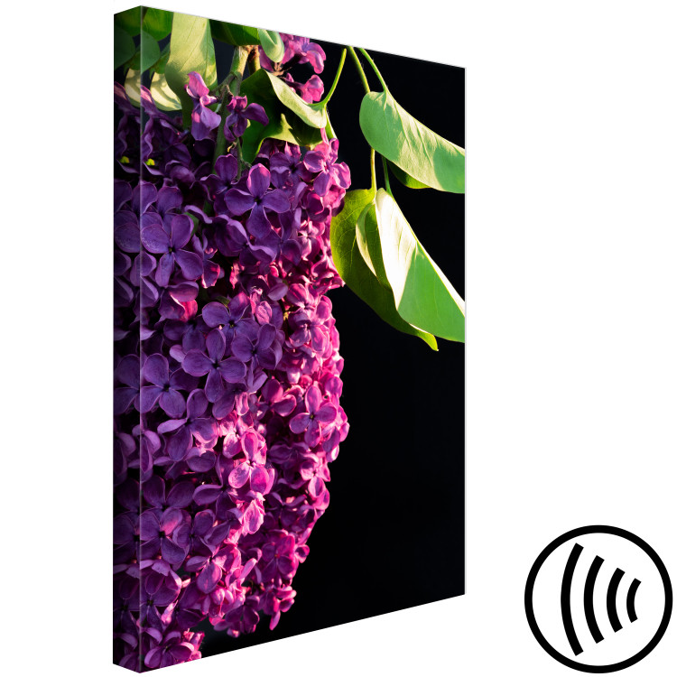 Canvas Common Lilac - a purple flower and leaves on a black background 121626 additionalImage 6