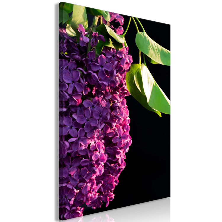 Canvas Common Lilac - a purple flower and leaves on a black background 121626 additionalImage 2