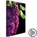 Canvas Common Lilac - a purple flower and leaves on a black background 121626 additionalThumb 6