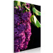 Canvas Common Lilac - a purple flower and leaves on a black background 121626 additionalThumb 2