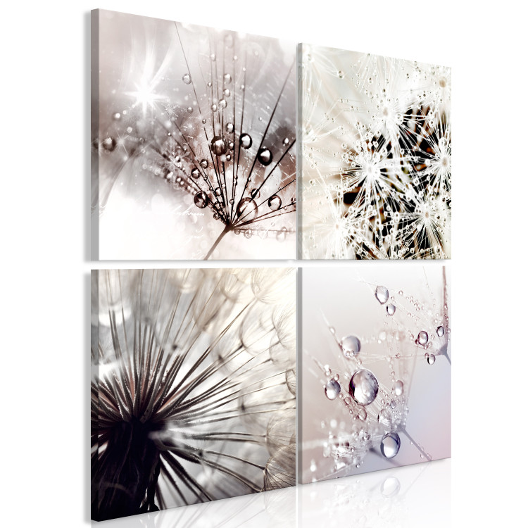 Canvas Nature in Dew Drops (4-part) - Dandelion Flower in Detail 118436 additionalImage 2