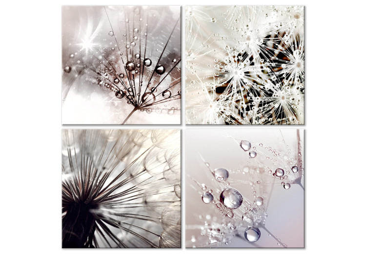 Canvas Nature in Dew Drops (4-part) - Dandelion Flower in Detail 118436