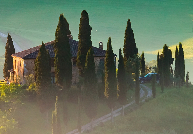 Canvas Tuscany Landscape - Photo of Green Fields at Sunrise 149836 additionalImage 5