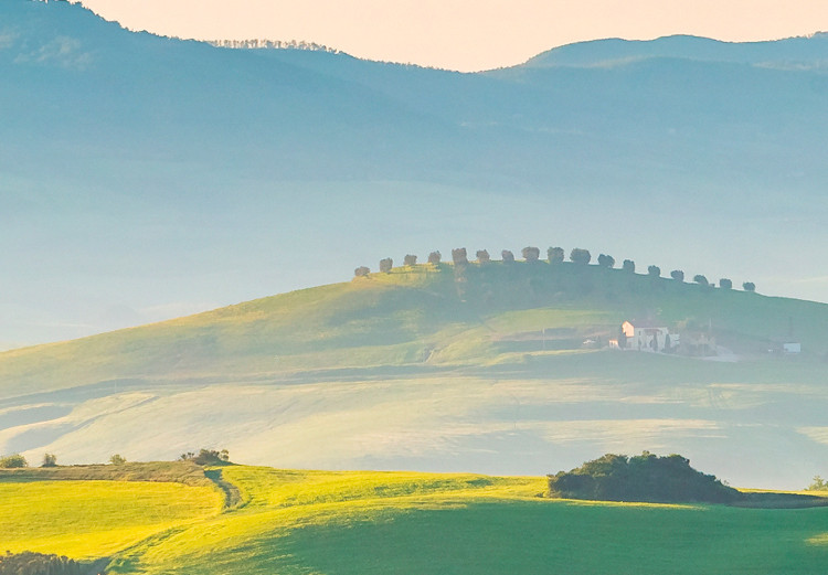 Canvas Tuscany Landscape - Photo of Green Fields at Sunrise 149836 additionalImage 4
