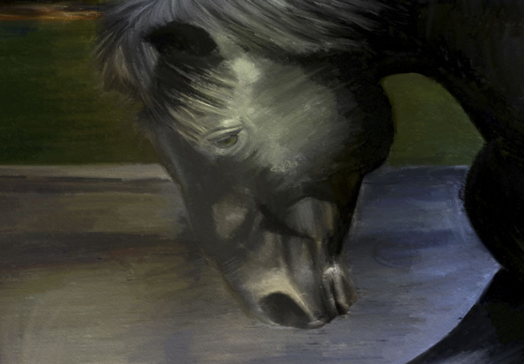 Canvas Black horse on the background of paradise waterfall 55646 additionalImage 5