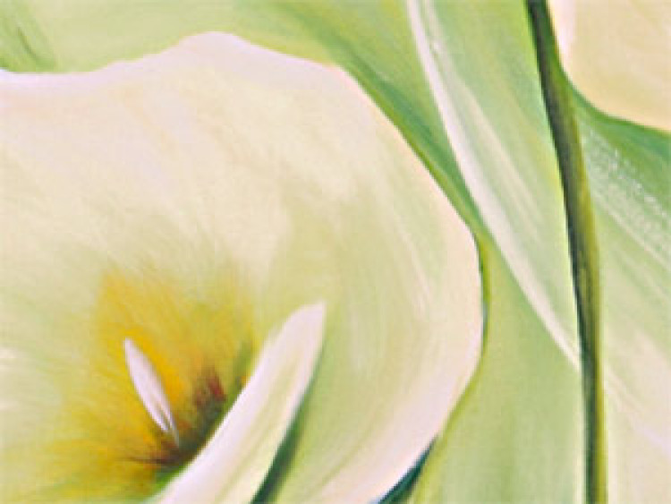 Canvas Callas (1-piece) - delicate flower bouquet 46556 additionalImage 3