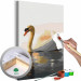 Paint by Number Kit Stately Swan 138666